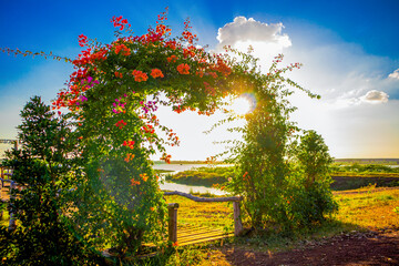 colorful flower arch 