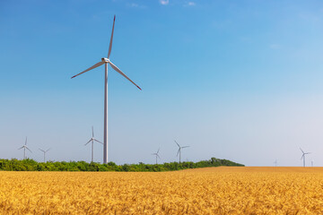 Blue sky and wheat field with wind turbines generating electricity