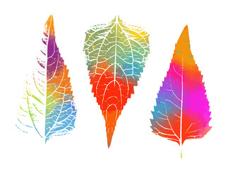 Multi-colored leaves of the tree. Rainbow world. Mixed media. Vector illustration