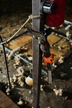Shabby machine for shearing sheep in barn