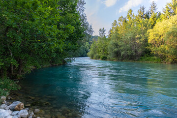 River in a forest. Beautiful green nature. Blue sunny sky.