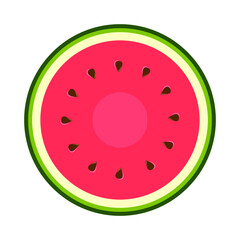 Vector flat illustration of watermelon cut across