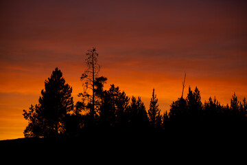 Evening Glow in Yellowstone Park