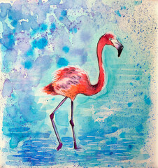 A hand drawn flamingo on a blue lake. Watercolour.