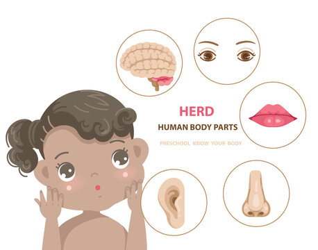 african little girl face. head human body parts of preschool little girl body anatomy illustration for kid.