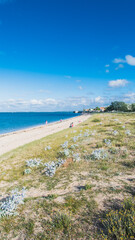 the beach of La Phibie on the island of Oléron, in France