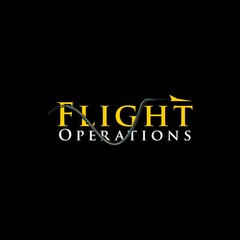 Fototapeta premium simple flight typography vector logo