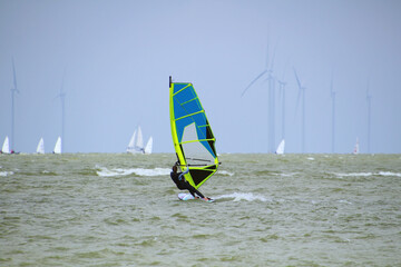 Young woman windsurfing with sailing boats and wind turbines at the horizon (Ijsselmeer,...