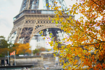 Scenic view of the Eiffel tower with yellow autumn leaves