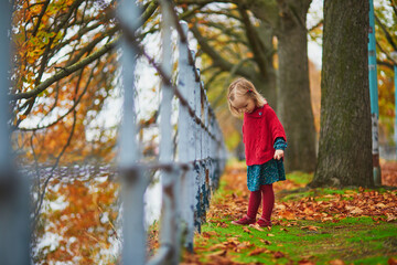 Adorable toddler girl playing in autumn park in Paris, France