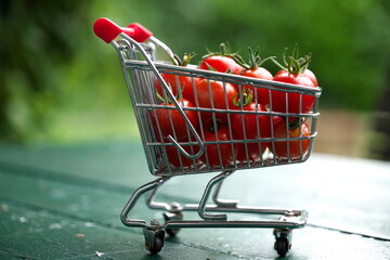 Tomaten, Nachtschattengewächse, Garten, Hochbeet,
grün,rot, Pflanze, Tomatenpflanze,...