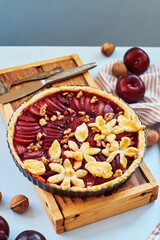 Pie with plum and nuts. Short crust pastry, chopped plums. Side view. Blue background.