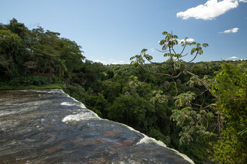 Wilderness. View of the Iguazu falls in the jungle. The precipice, falling water and green lush...