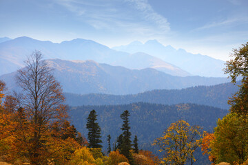 Caucasus nature reserve in Russia
