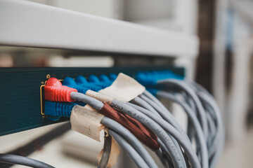 Close up of bunch of Ethernet cables (RJ45) plug into an enterprise network switch to connect to...