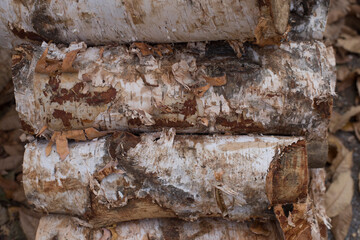 Pile of a birch log fire wood.