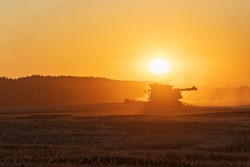 The comrade harvests the harvest at sunset