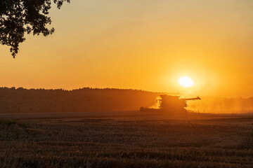 Obraz premium The comrade harvests the harvest at sunset