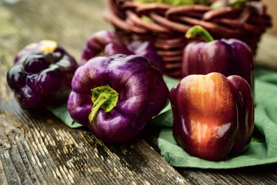 fresh whole raw purple bell peppers naturally streaked with yellows and orange tones in tabletop still life