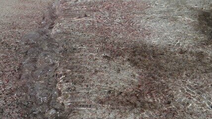 stone wall texture