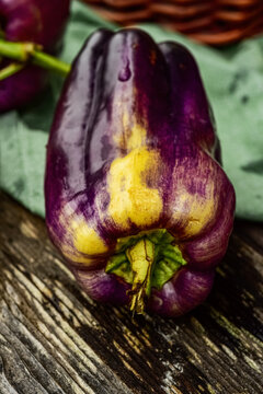 fresh whole raw purple bell peppers naturally streaked with yellows and orange tones in tabletop still life