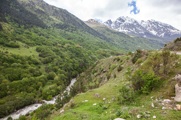 Naklejka premium Mountain river. Mountain Digoria. North Ossetia. Russia.