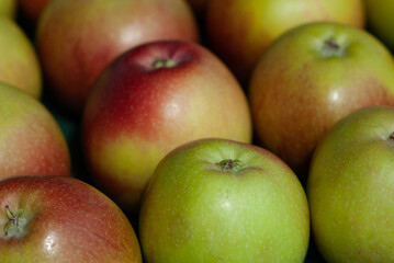 Delicios juicy aromatic Swiss apples from this year harvest