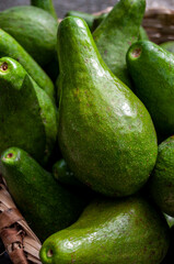 artisanal and organic avocado harvest in south america