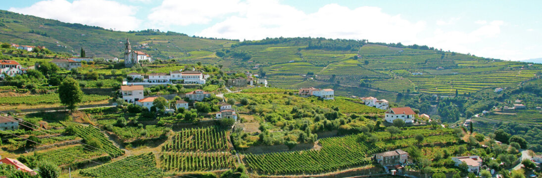 La vall&eacute;e du Douro, Portugal	