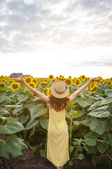 A girl in a yellow dress and a straw hat, hands up, stands with her back and holds a bouquet of sunflowers on a large field of sunflowers. A beautiful sunny day.