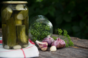 Pickles in a jar, cucumbers, dill and garlic.