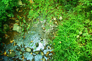 A Stream with Bright Green Grass