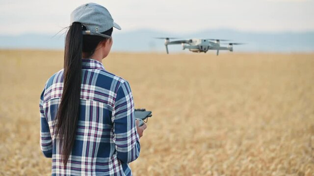 Female farmer flying drone over wheat field using controller, checking productivity with modern technology . High quality 4k footage