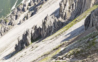 Bergimpressionen Karwendel Österreich