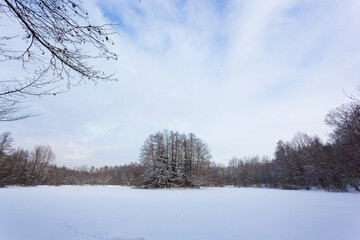 Frozen and snow-covered lake with tree island
