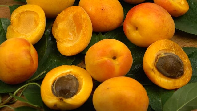 Ripe whole apricots and apricot halves with kernels inside lie on the green leaves of an apricot tree, background