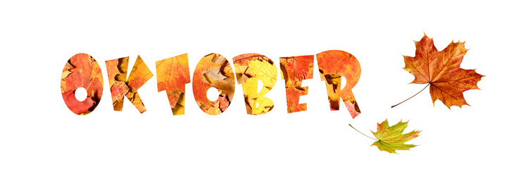 Autumn  Oktober background with word from fallen leaves. Fall banner with copy space. 3D illustration