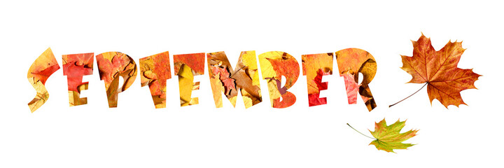 Naklejka na ściany i meble Autumn september background with word from fallen leaves. Fall banner with copy space. 
