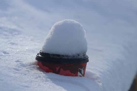 a glass of coffee under the snow, an illustration of the weather forecast