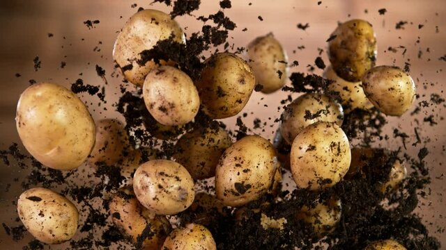 Super slow motion of early potatoes with earth flying in the air on wooden background. Filmed on high speed cinema camera, 1000 fps.