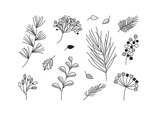 Drawn plant vector icons. Vintage floral set. Black twig, branch, leaves, berry collection. Botanical sketch elements line art isolated on white background. Elegant nature illustration