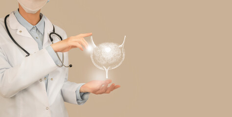 Unrecognizable doctor holding highlighted handrawn Bladder  in hands. Medical illustration, template, science mockup.