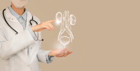 Unrecognizable doctor holding highlighted handrawn Kidneys and Bladder in hands. Medical...