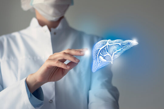 Unrecognizable doctor caring highlighted blue handrawn Liver. Medical illustration, template, science mockup.