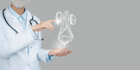 Unrecognizable doctor holding highlighted handrawn Bladder and Kidneys in hands. Medical...