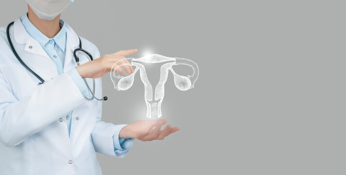 Unrecognizable doctor holding highlighted handrawn Uterus in hands. Medical illustration, template, science mockup.