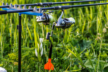 Carp fishing rods.Carpfishing session at the Lake.Catching fish. The Common Carp (Cyprinus Carpio).