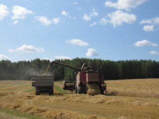 combine harvesting wheat