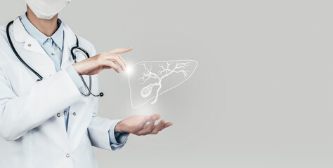 Unrecognizable doctor holding highlighted handrawn Gall Bladder in hands. Medical illustration,...