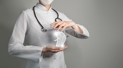 Female doctor holding virtual sketchy drawing of spleen in hand. Handrawn human organ, copy space...